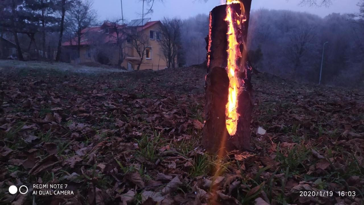 Apartament W Domu Na Wsi Tomaszów Lubelski Eksteriør bilde
