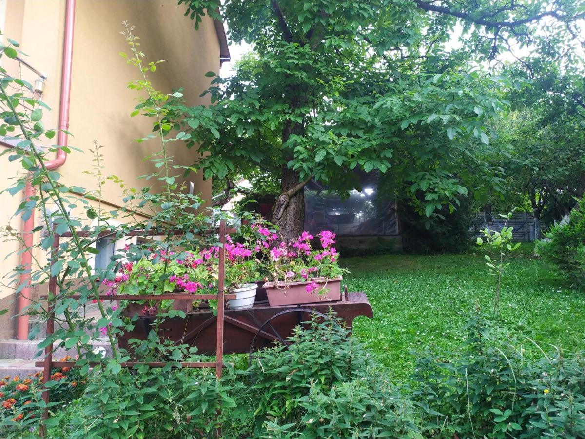 Apartament W Domu Na Wsi Tomaszów Lubelski Eksteriør bilde