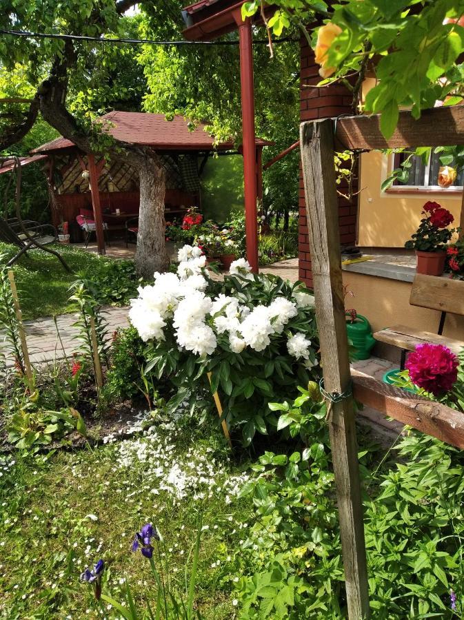 Apartament W Domu Na Wsi Tomaszów Lubelski Eksteriør bilde