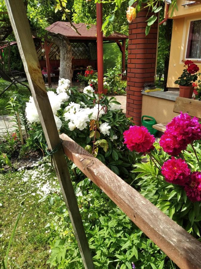 Apartament W Domu Na Wsi Tomaszów Lubelski Eksteriør bilde