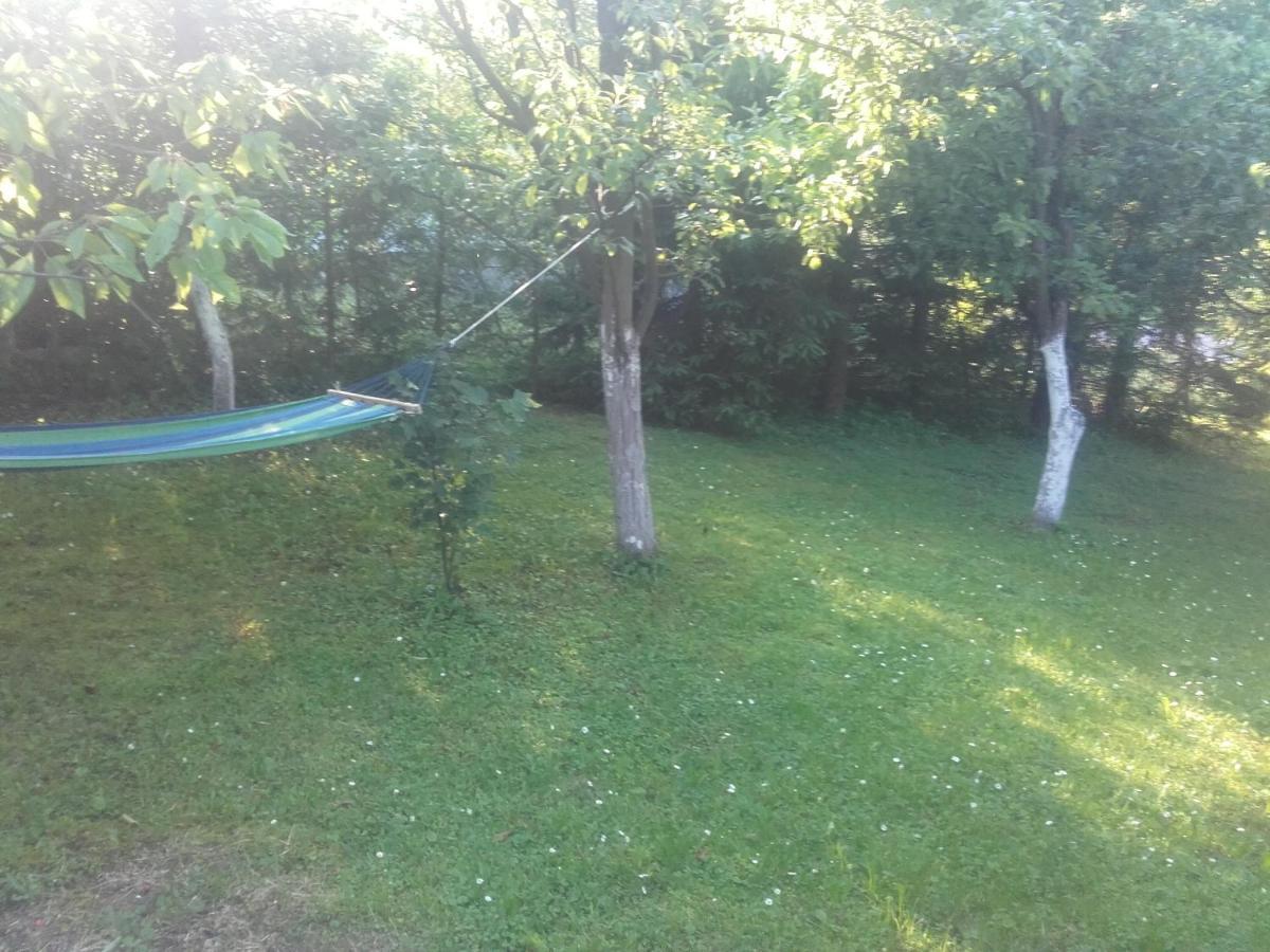 Apartament W Domu Na Wsi Tomaszów Lubelski Eksteriør bilde